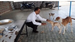 माणगांव मध्ये मुक्या प्राण्यांचा व गोरगरीबांचा देव माणूस. दिवसाला एक हजार चपातीचे होते मोफत वाटप