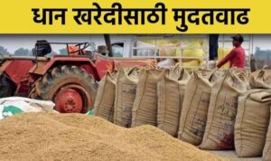 धान खरेदी नोंदणीच्या मुदत वाढीमुळे राज्यातील धान उत्पादक शेतकऱ्यांना मिळणार दिलासा • पालकमंत्री मुनगंटीवार यांच्या पाठपुराव्याला यश