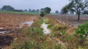 तिरोडा तालुक्यात अवकाळी पाऊस. अवकाळी पावसामुळे शेतकऱ्याचे नुकसान. वातावरणात बद्दल लोकांना गर्मी पासून सुटका.