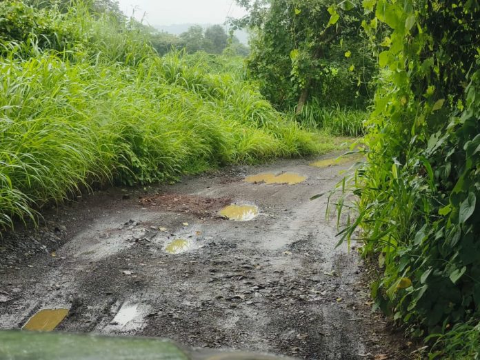 फणसापूर ते चौल-गायचोळे रस्ता तात्काळ करा