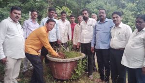 कार्लेखिंड येथे जगदंबा प्रतिष्ठान पेडकपाडा कार्ले च्या वतीने वृक्षरोपण