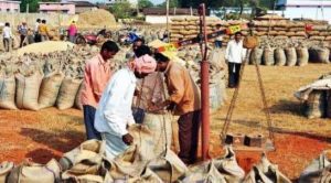 भाताला २३०० रुपये हमीभाव