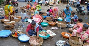 वातावरणातील गारव्याने मासळी गारठली