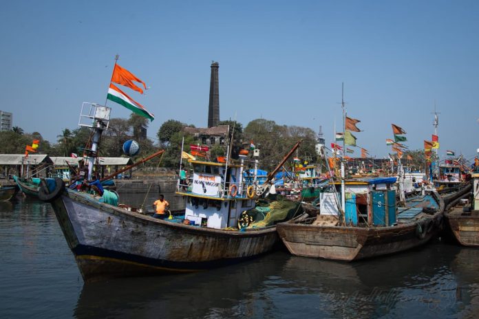 कोकणातील मत्स्य उत्पादन मोठी घट,