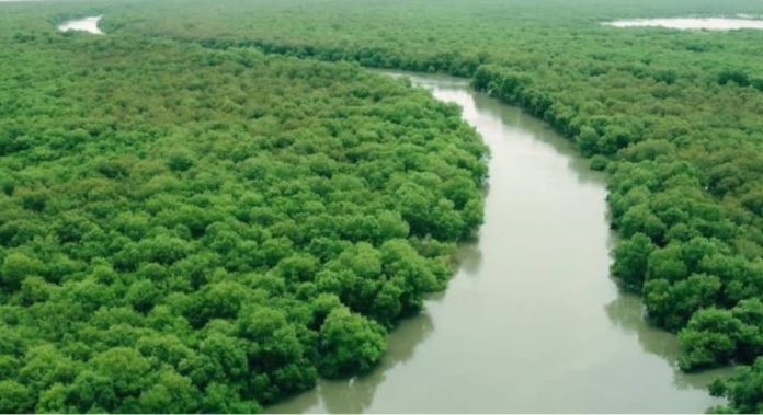 मिळकतखार अनधिकृत भराव प्रकरणात प्रांत अधिका-यांचे स्थळ पहाणीचे आदेश.