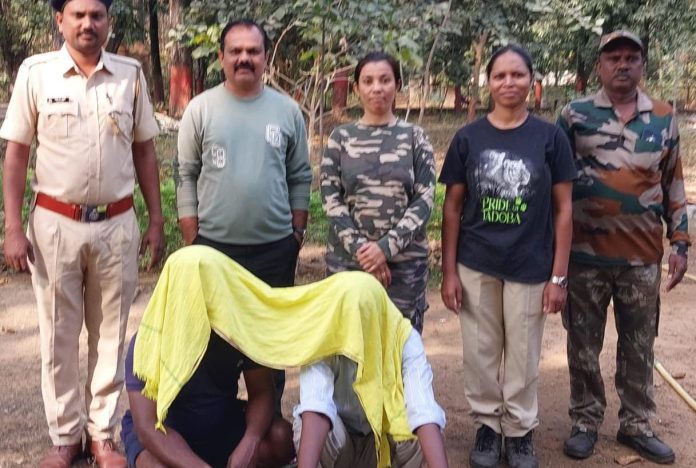 चंद्रपूरात वाघनखांसह दोघांना अटक