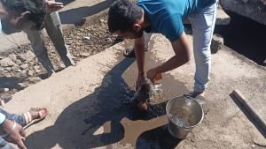 गटारात अडकलेल्या प्राण्याला मिळाले जीवदान