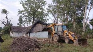 वन क्षेत्राला अतिक्रमणाचा विळखा