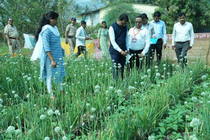 पांढऱ्या कांद्याच्या लागवड क्षेत्राचा विस्तार करण्यासाठी शेतकऱ्यांना सर्वोतोपारी सहकार्य -- जिल्हाधिकारी किशन जावळे