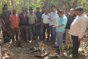 रेल्वेच्या धडकेत वाघ ठार