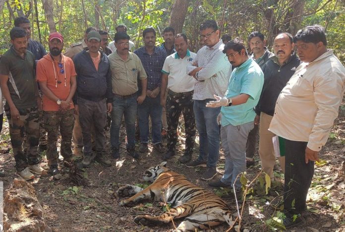 रेल्वेच्या धडकेत वाघ ठार