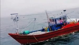 अवैध पर्ससीन आणि एलईडी मासेमारीवर कारवाई करा.