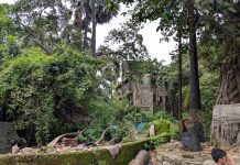 अलिबाग शहराजवळील सरकारी कॉलनीमध्ये उगवले जंगल. पडक्या इमारतींमध्ये अवैध धंदे वाढले.