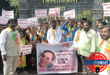 शितल मोरे मृत्यू प्रकरण – सिविल सर्जनवर गुन्हा दाखल करा; वंचित बहुजन आघाडीची जिल्हाधिकाऱ्याकडे मागणी