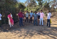 सुर्या प्रकल्पाच्या नावाखाली अन्याय?” उजव्या कालवा दुरुस्तीत झाडतोड व मोबदल्याचा प्रश्न ऐरणीवर”